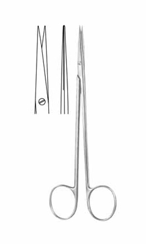 Dissecting Scissors